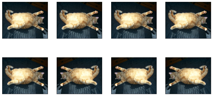 ../../../_images/guide_packages_gluon_image-augmentation_9_0.png